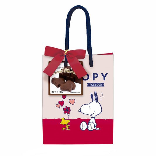 Snoopy Chocolate Bag